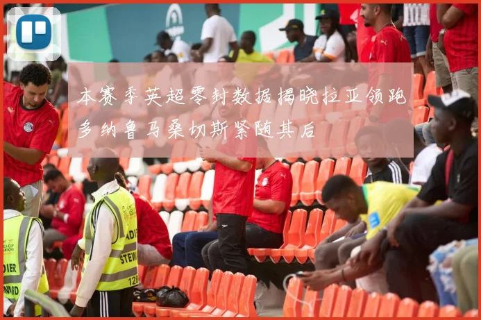 本赛季英超零封数据揭晓拉亚领跑多纳鲁马桑切斯紧随其后